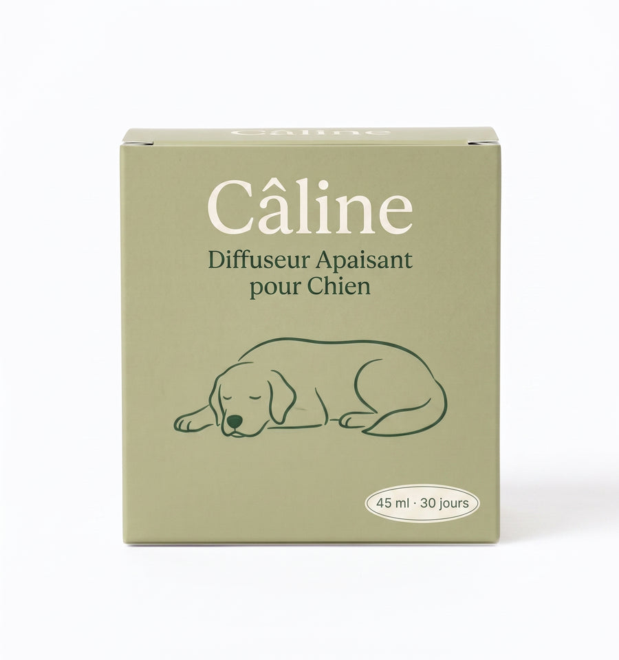 Diffuseur Câline dans un salon, chien détendu